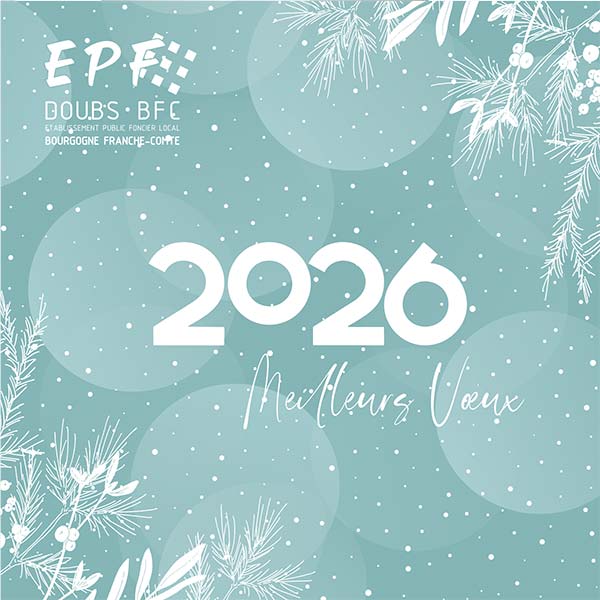 Meilleurs vœux 2026 !